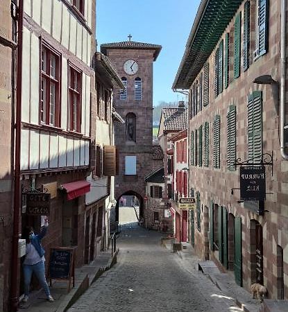 Gite Ultreia Vertes Montagnes Saint-Jean-Pied-de-Port Kültér fotó