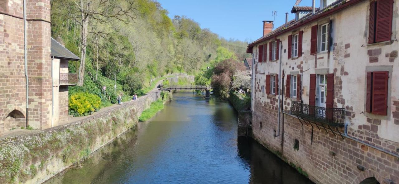 Gite Ultreia Vertes Montagnes Saint-Jean-Pied-de-Port Kültér fotó